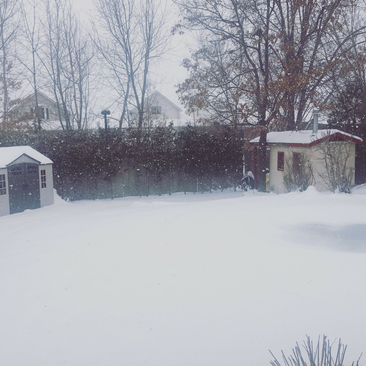 TravelTalz's tweet photo. #Canadianwinters #canada #snowstorm #wintertime #winterwonderland #backyardproblems #snow #WelcometoCanada https://t.co/q59qB8XZDX