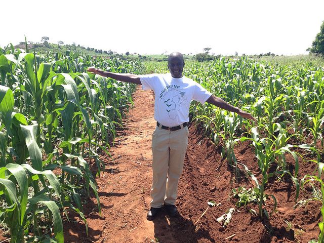 CGIAR tweet picture