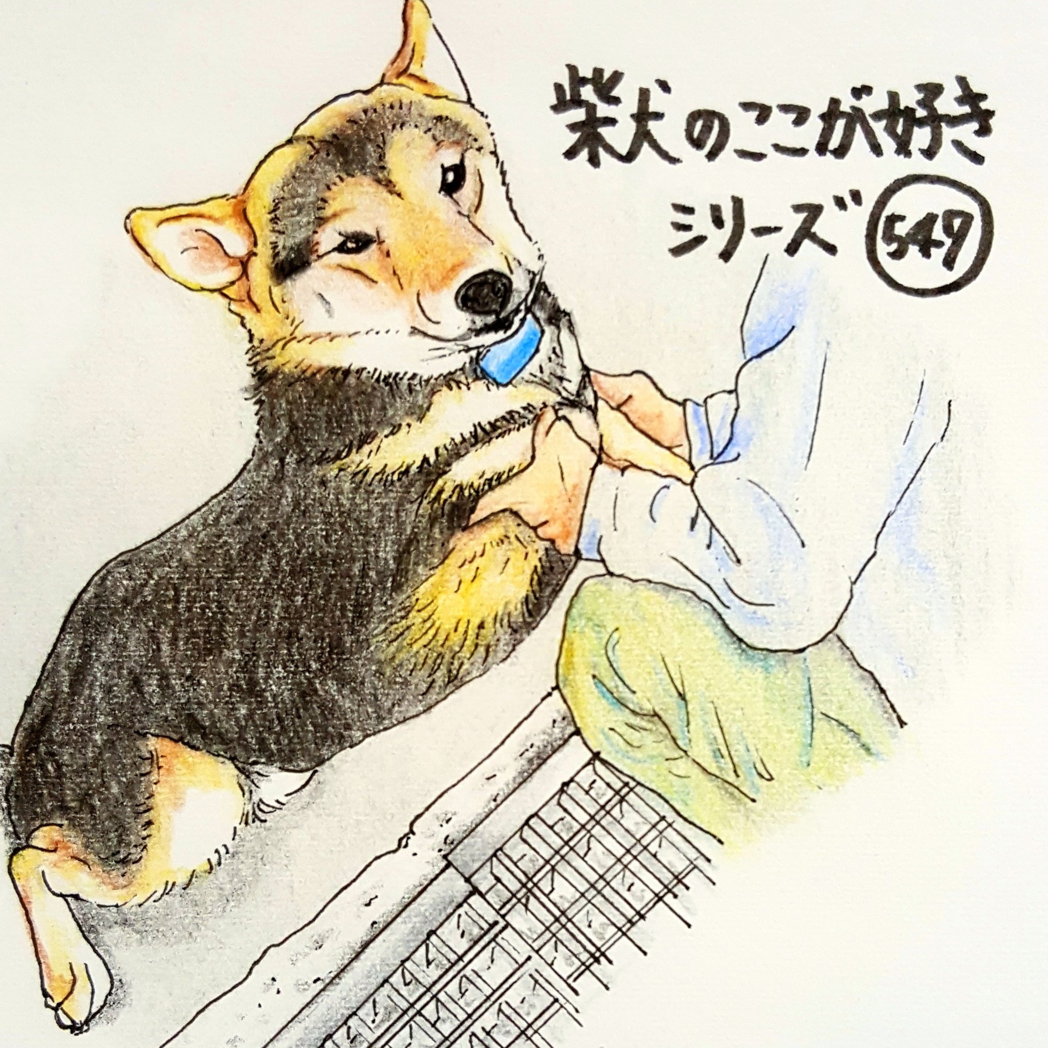 ここ柴 側溝が怖くて逃げ腰になると ご主人に説得されるとこ な 跳んでみよ 跳べるから 抱っこしてあげようとしても 後ずさりで逃げていく あぁ エビになってしもた 柴犬のここが好き ここ柴 イラスト 柴犬 しばいぬ 逃げ腰 T