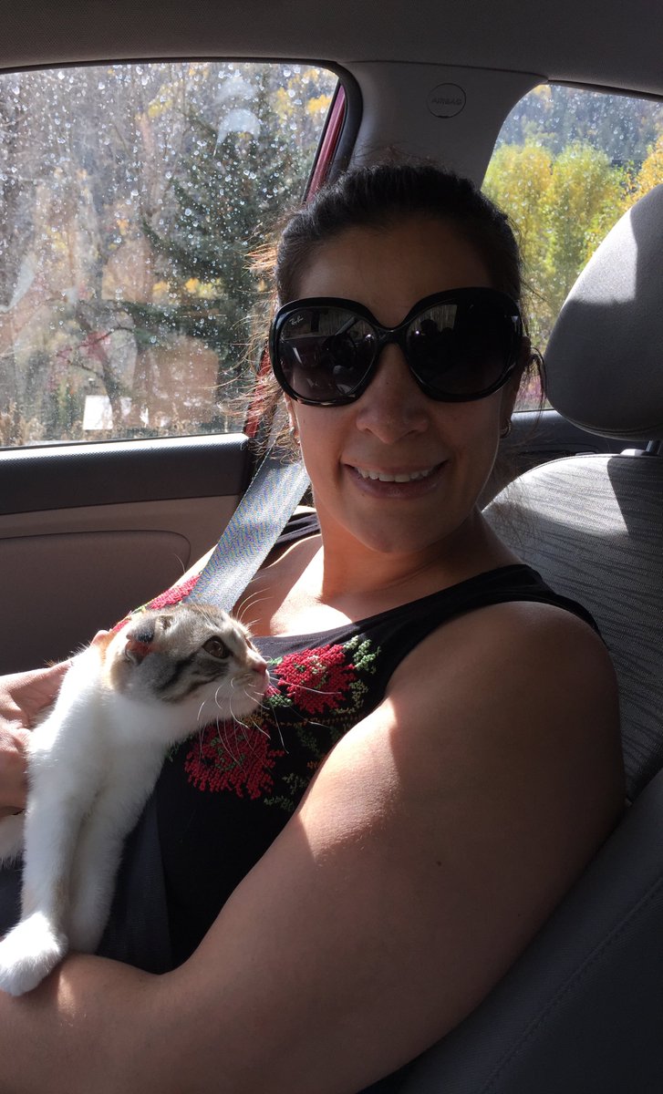 maysoonzayid's tweet photo. Fine I'm doing this for you #criparmy #Filmdisfam #CP4LIfe #Jerseygirl #disabledandcute https://t.co/KMPfnNDG0L