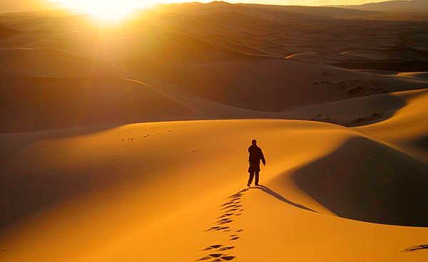 GlenFearce1's tweet image. THIS WILL BE MY MINDSET ON VALENTINES DAY................. #NoCard #NoChocs #NoCuddles #NoKiss #NoShag #LonelyCurryForOne