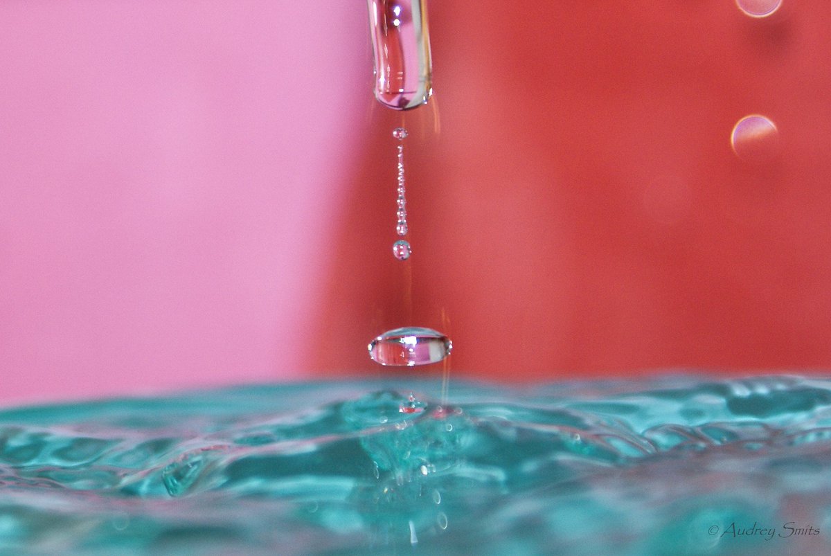 ImageIsFantasy's tweet image. #ImageIsFantasy
What do you see?
#chain #rain #water