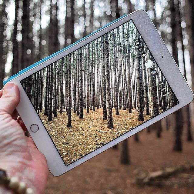 Espirer_'s tweet image. How we see the world reflects more on us than the world. 🌲 📷: @buzzybuzzin .
.
#CreateBold… ift.tt/2klbFaN