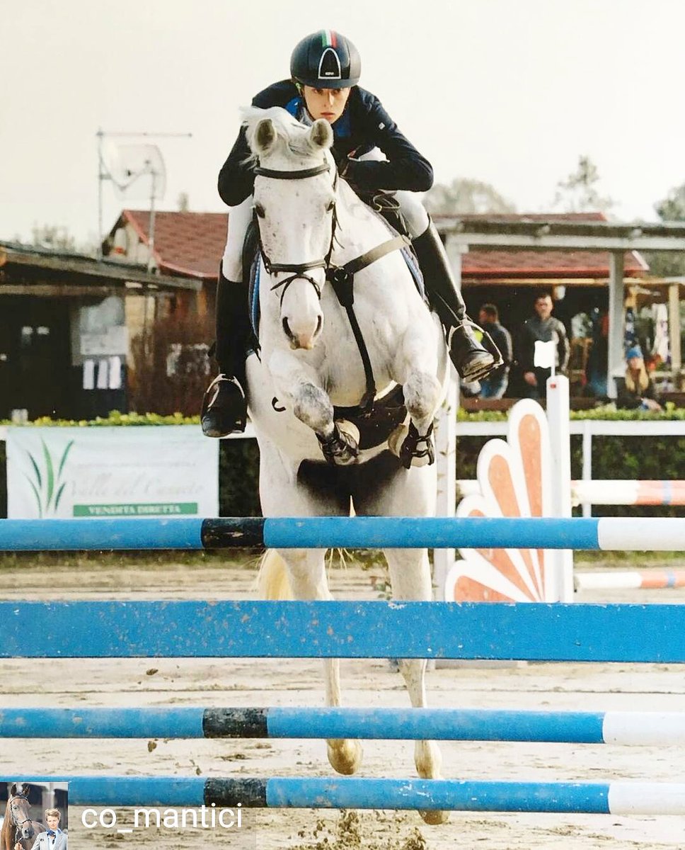 Equestrian_In's tweet photo. https://t.co/IozvyZYkI3 #eventer Costanza Mantici #good training work in #showjumping: #discover #scopri al link https://t.co/NBQQjOPn57
