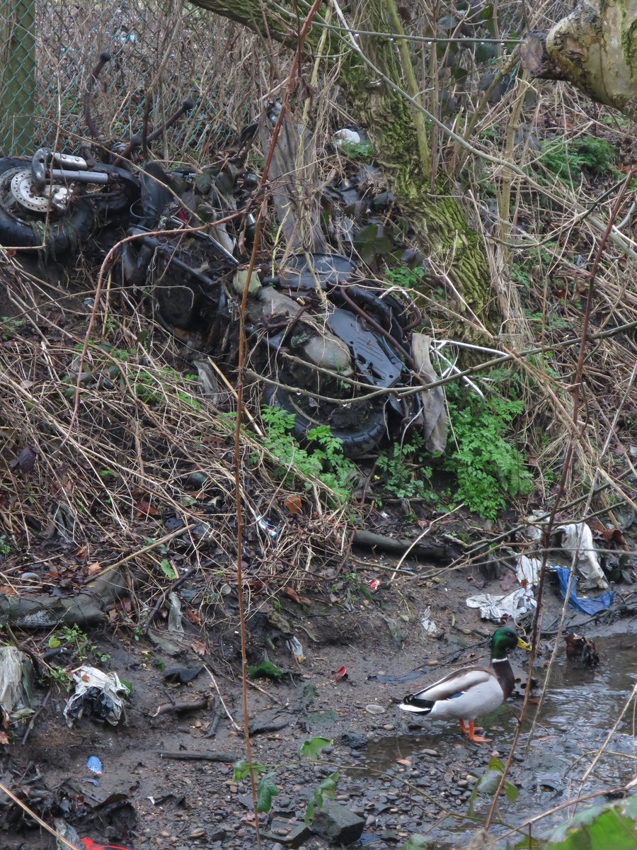 alistairlambert's tweet photo. Barnet's lack of care for the stream in Clitterhouse playing fields drives me quackers!
#KeepBarnetClean https://t.co/3IZf5vYVjU