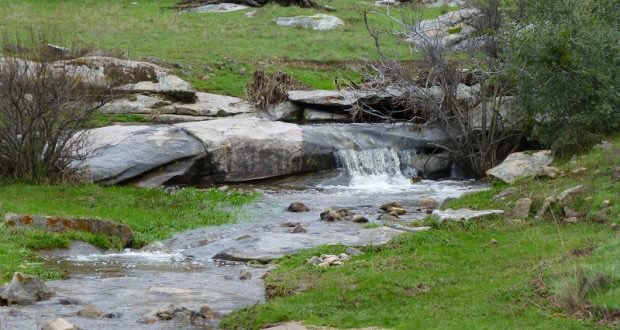 SNOnews's tweet photo. Candace @firegirl400 Gregory takes us #hiking with #sierrafoothillconservancy https://t.co/Nc65vkYKlc https://t.co/s21nVvn2AX
