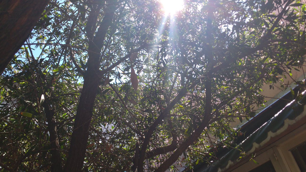 hugobactor's tweet image. 