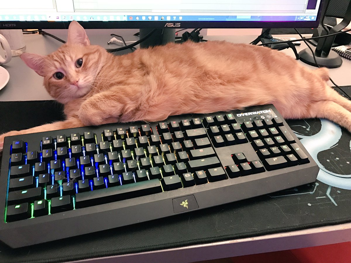 Rubiu5's tweet photo. Asi no se puede trabajar https://t.co/XLN7GOmrtB