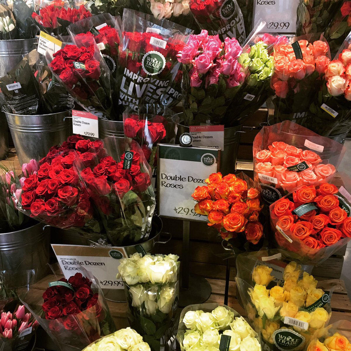 FindTheTrump's tweet photo. What will The Donald get Melania for V-day? #FINDTHETRUMP #valentines2017 #flotus #potus #love #valentine #roses https://t.co/josEKGD6mP