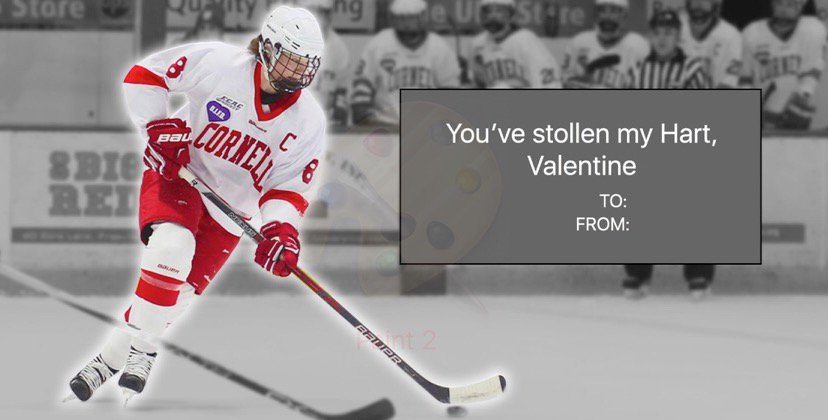 Grace Graham tweet media
