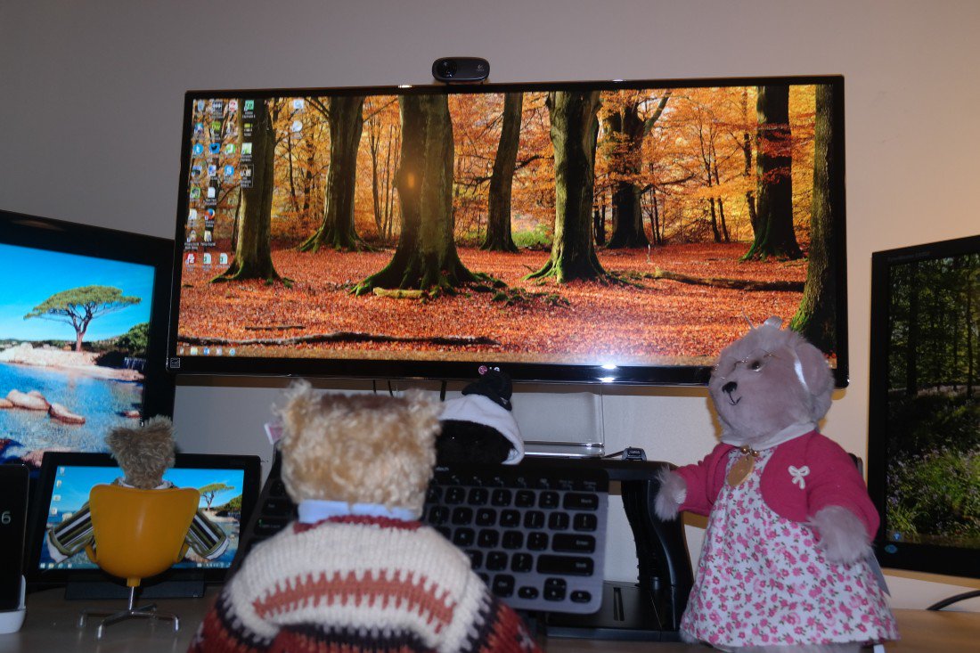 ToddyFur's tweet photo. After 2 years my monitor has decided to make itself my default speakers with no input from me. #FurryTails #WhyWindows https://t.co/w9oBLCFxVM