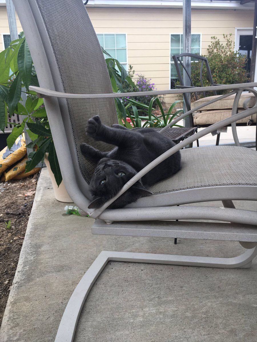 StumblerTop's tweet photo. this is how fast my mood can change https://t.co/oYvvlA2IGc