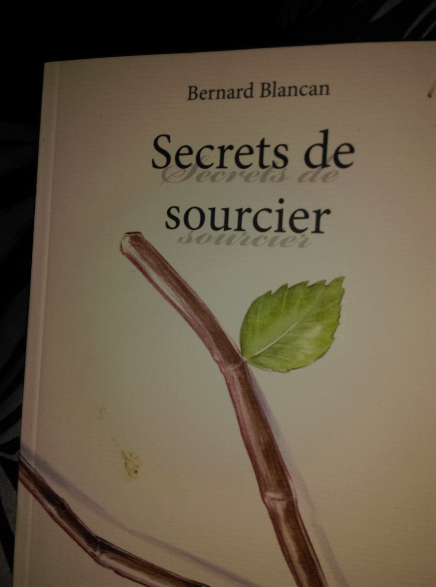 oOohceane's tweet image. Il est temps d&apos;approfondir mes compétences .... Encore inculte, Et pourtant j&apos;en suis visiblement capable #sourcier