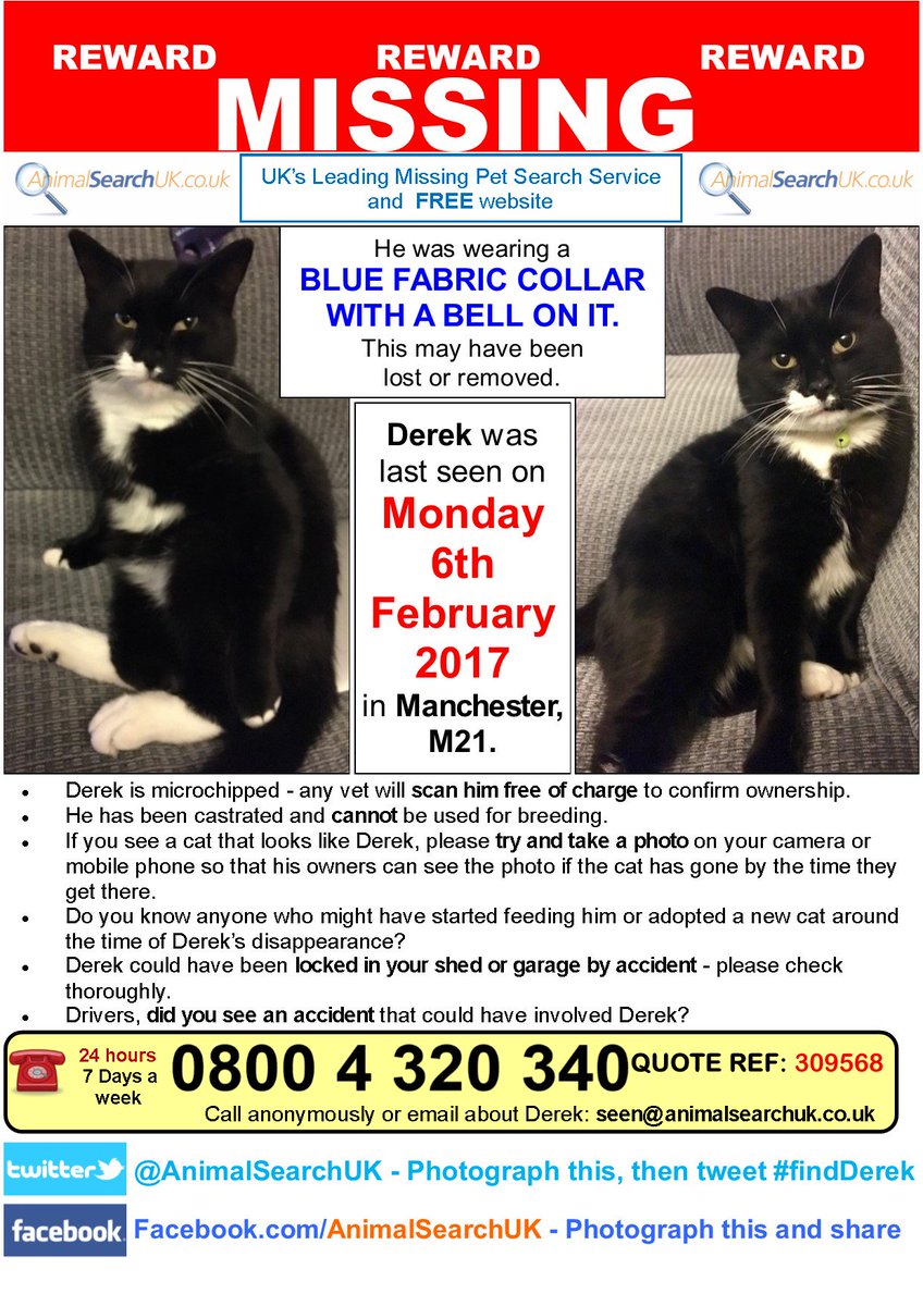 AnimalSearchUK's tweet photo. PLZ RT @VetPractitioner @Medivet_UK #missingcat #manchester #M21 #findderek
https://t.co/3xKDMRQtnr https://t.co/8knTulxfro