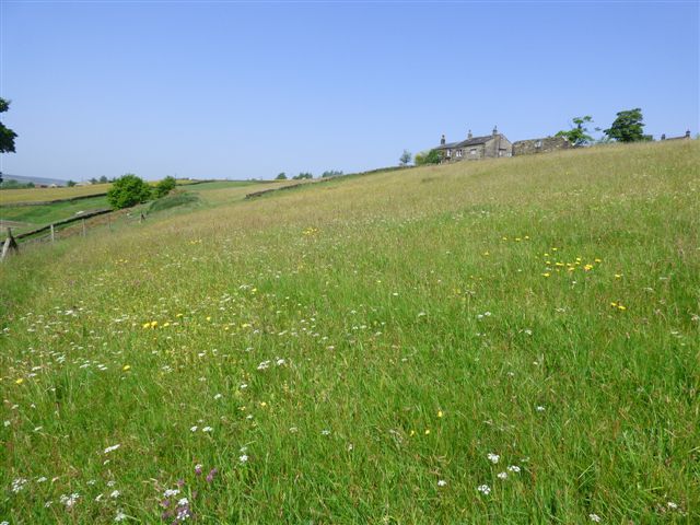 ElmetFarmhouse's tweet photo. @BBCCountryfile Lazy days in the country! Be inspired @ElmetFarmhouse holiday let #YorkshireDales Finalist #WRA2016 https://t.co/i3NT5zxFzE https://t.co/JILE88rvzi