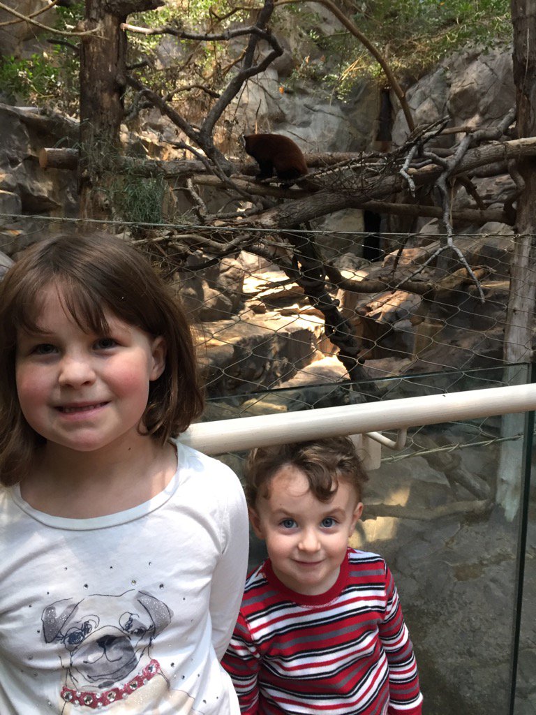 KBeckmanFHS's tweet photo. 1st zoo trip w/o needing a stroller, red wagon, or diapers. I wasn't sure what to do w/ my free arms #parentmilestone https://t.co/AEs9tLFGUE