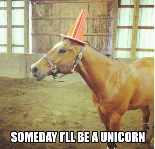 TumblingRiver's tweet photo. #ranchhumor #sundayfunday https://t.co/y7SXUvkNys
