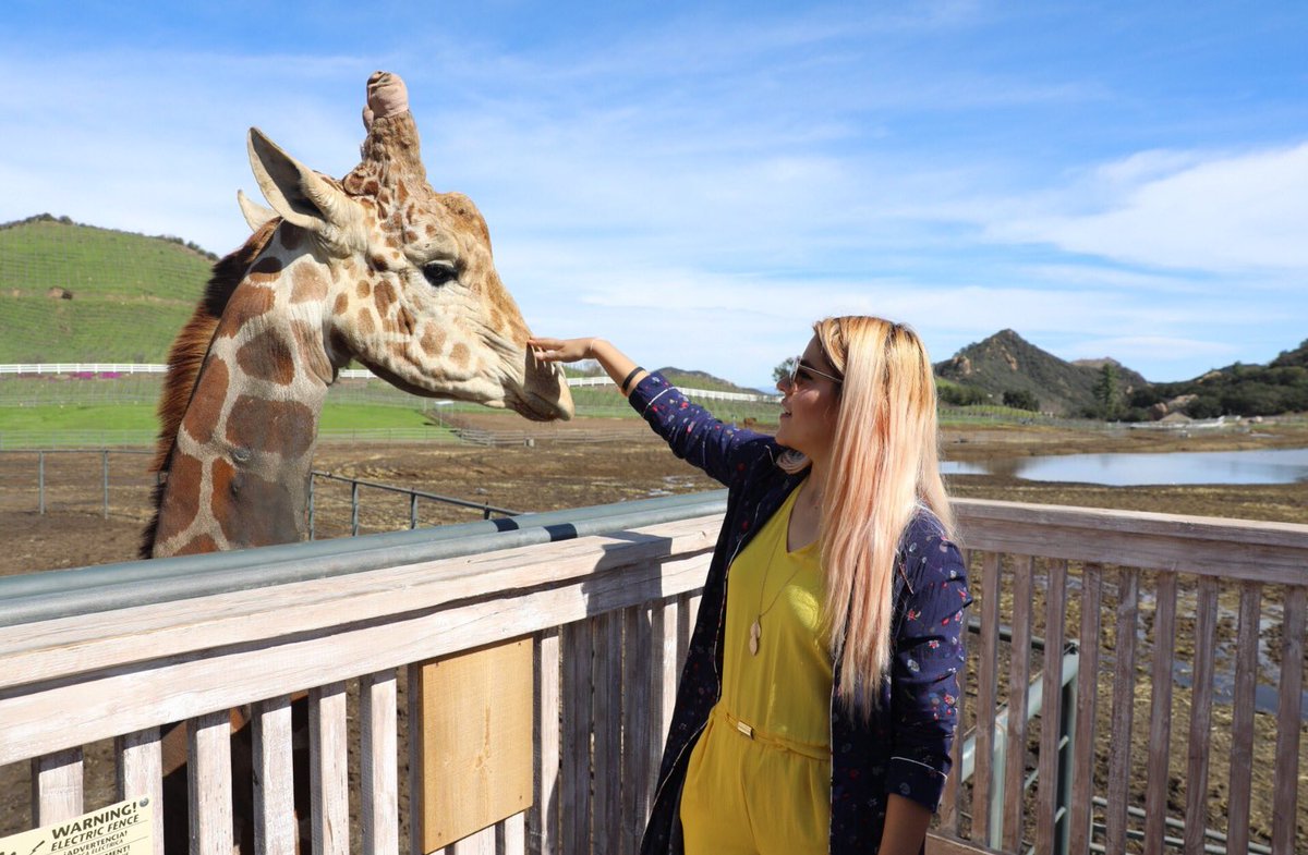 PPteamlessslie's tweet photo. Me encantan los animales! https://t.co/bmuFoQjFgN