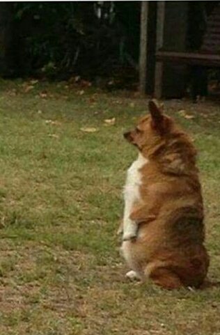 Libertad_Noti's tweet image. Cuando comes mucho y te quedas reflexionando que no debiste haberte tragado todo eso.