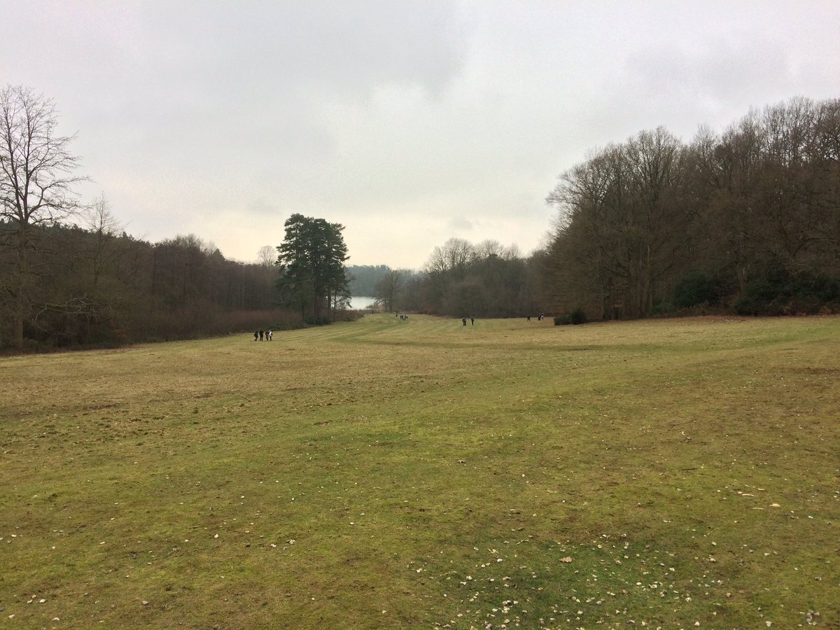 suzanna_platts's tweet photo. Extended phase 1 survey at Reddam School, Berkshire. #MScSISS @drmgoeswild @RSKEcology #extendedphase1 https://t.co/RHkKP64srM