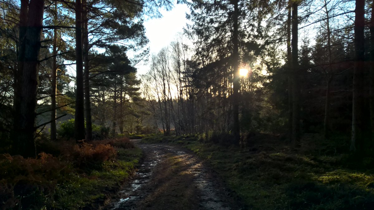 neil_hedley's tweet photo. Sunday morning exploring, no snow but plenty mud. =) #mtb #mtblife #trance2 https://t.co/QT6DdPDox8