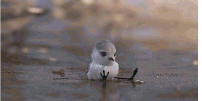 14 şubatta ben😂😂😂