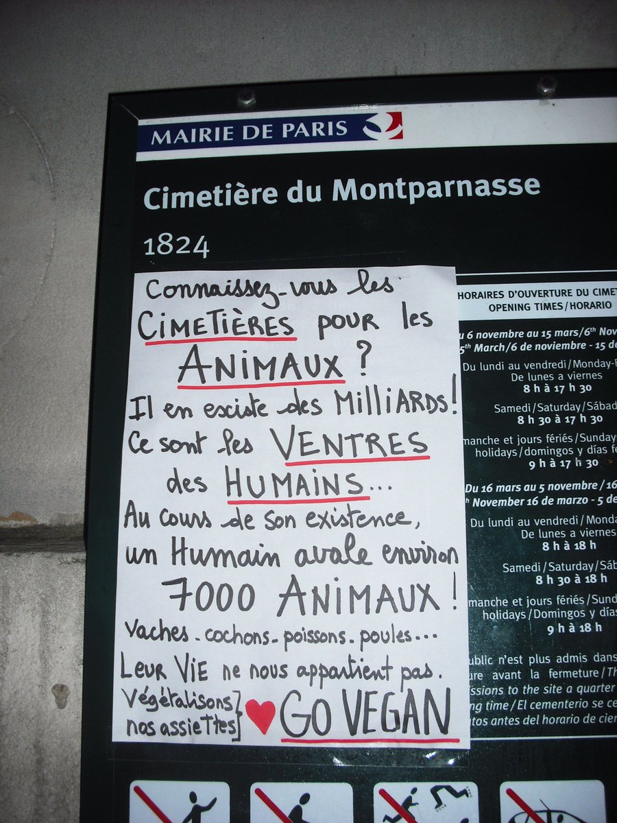 PacaVegana's tweet photo. Les #cimetieres pour les #animaux sont les #ventres des #humains ...
#fermonslesabattoirs #GoVegan https://t.co/Ptm73TrrDR