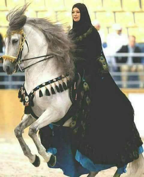 Aaala33's tweet photo. تره المهره الاصيله تلوك للخيال
المو خيال ليش يتعب المهره
اللي مو كد الاصايل لا يدك اطبول
معروفه الزلم من تاخذ الشمره https://t.co/6NKX6KVfKa