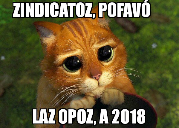JuliaPeNu's tweet photo. #TodasOpos2018 No hay excusas para no negociar, mesa ya @GFVara @EstherGMoran @SindicatoPIDE @CSIFenseEXT @AnpeExtremadura @fspextremadura https://t.co/Qb2cDnSyB5