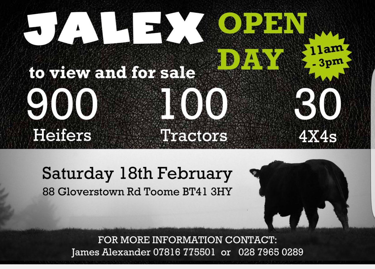 Jalex (@jalexherd) on Twitter photo 