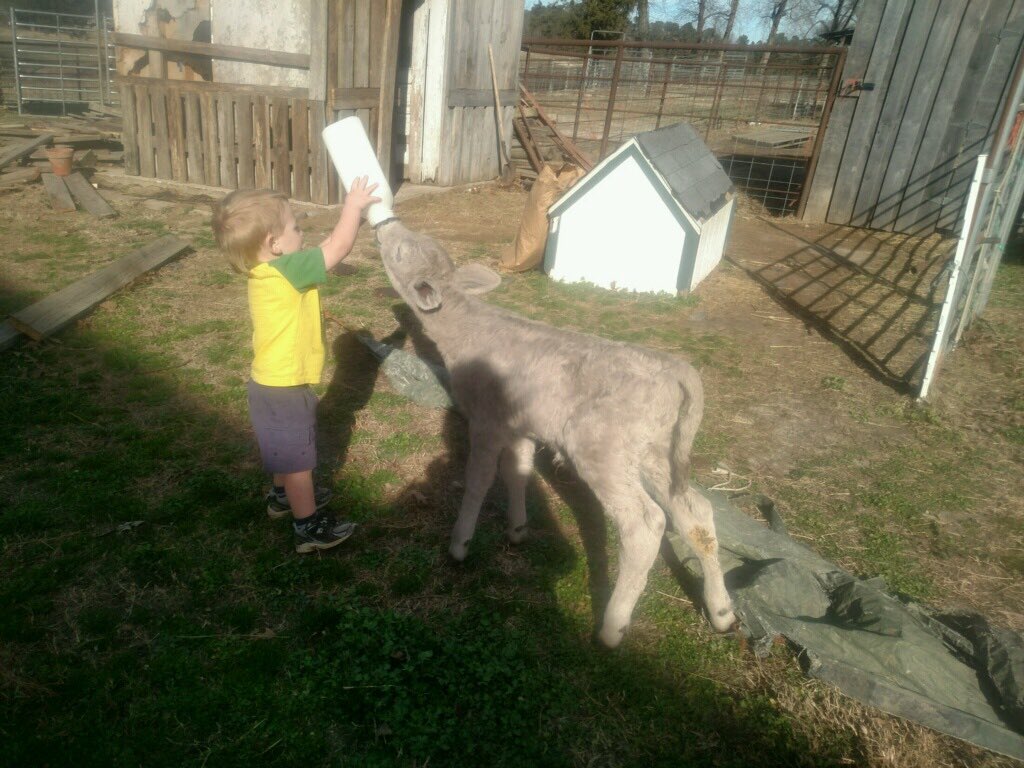 kileyfoley's tweet photo. My nephew is perfect. https://t.co/C6Ocb2DLHb