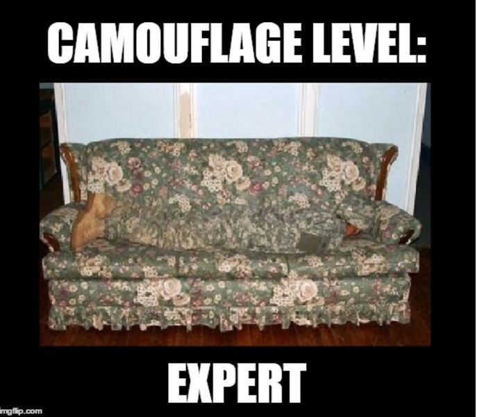 kittyFitz50's tweet photo. Look where I found Pat Tiberi!
#CamoMan
#WheresTiberi
#Oh12
#Indivisible
#TheResistence https://t.co/eOUIsklTdk