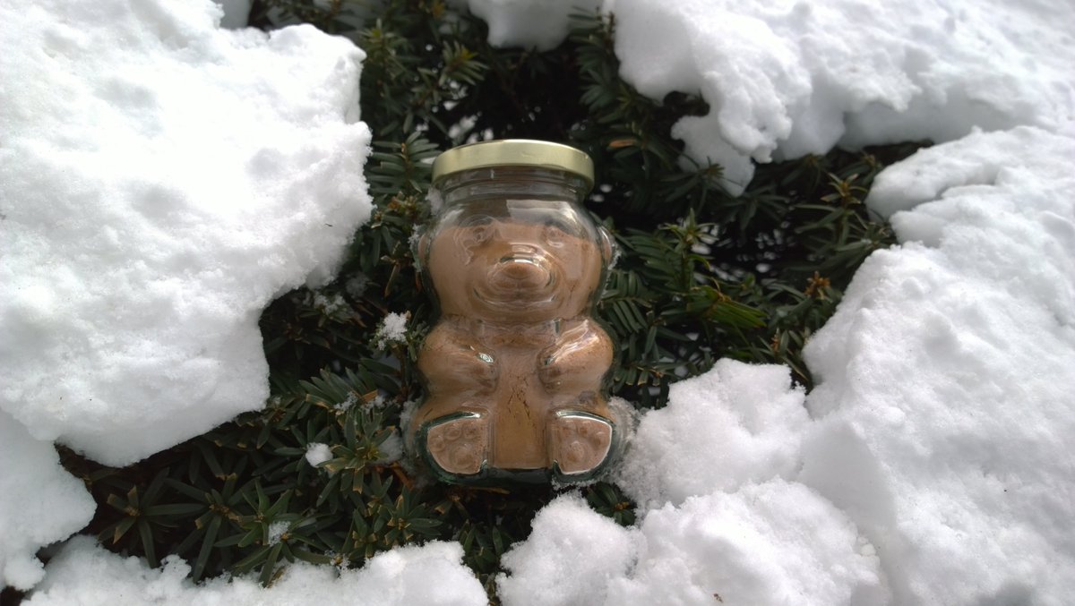 Malty the Bear #Kickstarter is a #gourmet hot #cocoa mix inspired by malt shakes from the 1960s. kck.st/2kFIJOQ