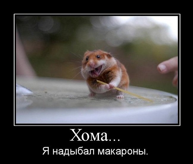 ArinaRodionova8's tweet photo. Если женщина устояла перед искушением, значит это не искушение, или это не женщина... https://t.co/yf5CUdqtBa