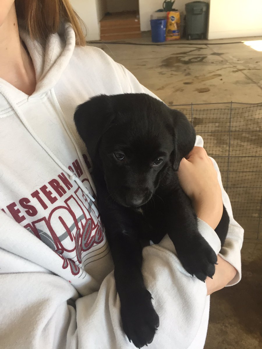 EmmaBousema's tweet photo. help a girl out 🙏🏻🙏🏻 https://t.co/1KrzyOwhBd