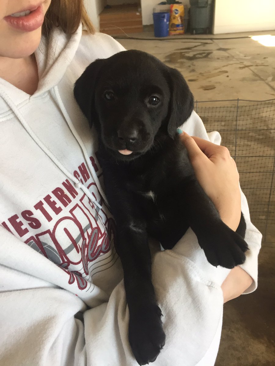 help a girl out 🙏🏻🙏🏻