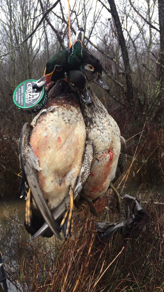 scduckboyzz tweet picture