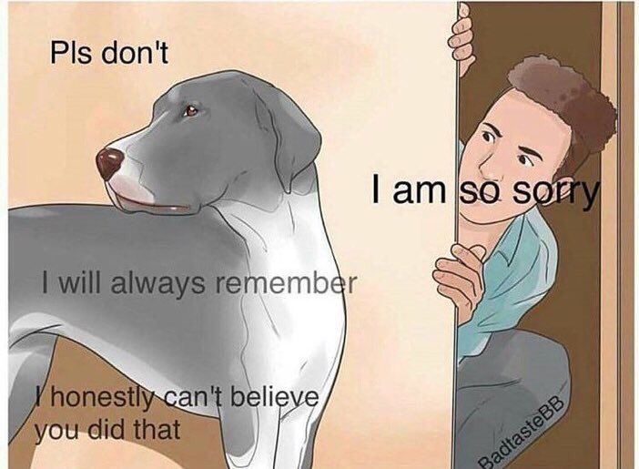 introvertsmemes's tweet photo. when u accidentally step on your dogs paw https://t.co/O1aEZIZFWy