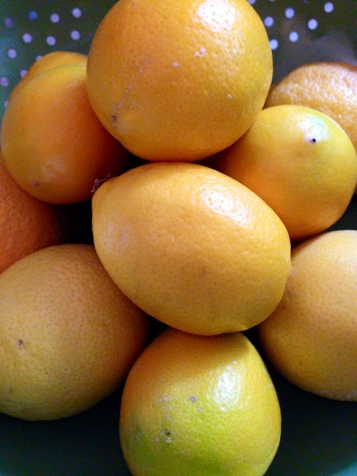 Parker Bartlett tweet media