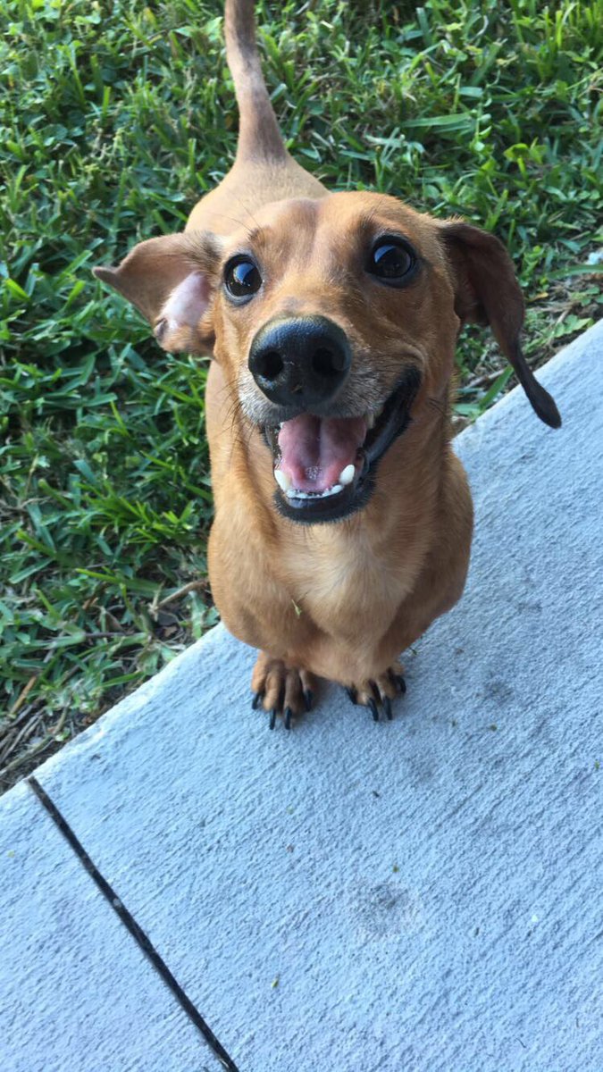 katherine_319's tweet photo. Just rlly miss my pup today https://t.co/ff6bNCQggO