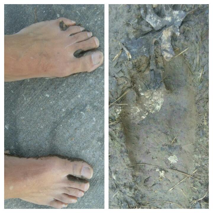 Timur37's tweet photo. Good trail run + recovery breathing training = productive therapy. #rundirty https://t.co/SddAAzOUr6