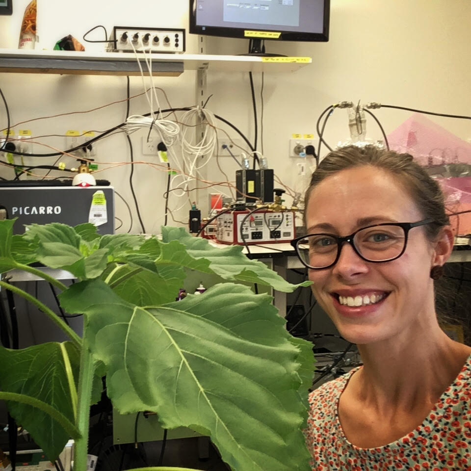 Meisha-Marika tweet media