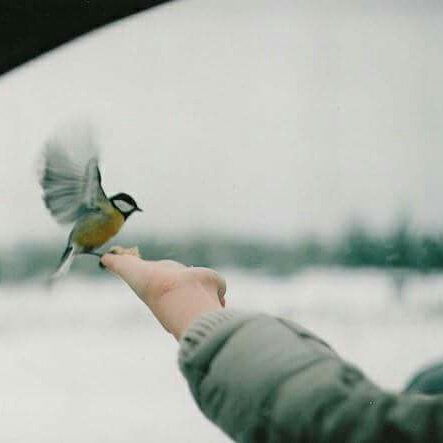 As088765's tweet image. #NewProfilePic