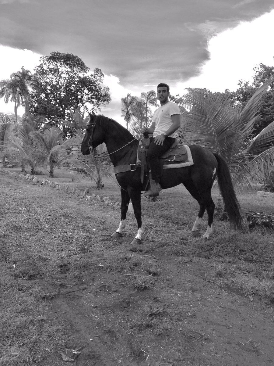 AlaorCuradoo's tweet photo. Dia de relaxar 🐎🌳 https://t.co/mgEshHEsXk