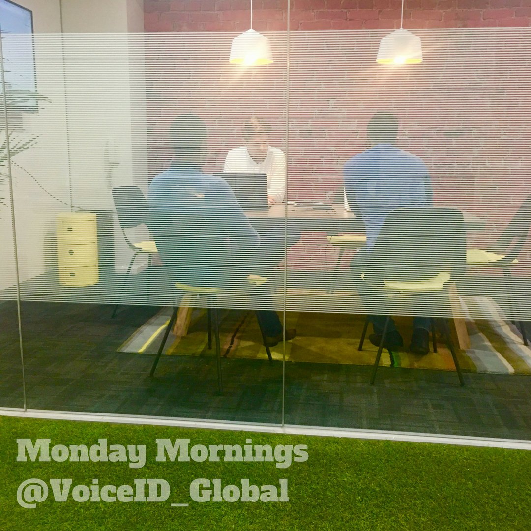 What Monday morning conference calls look like at <a href="/VoiceID_Global/">VoiceID</a> #CantComplain #OfficeInspo #MondayMorning #TechOffice