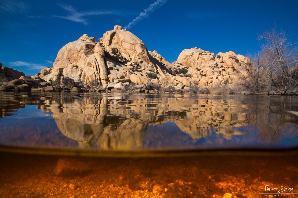 RobZimiga's tweet image. Joshua tree Barker Dam #joshuatree #nationparks #water #desert #deserttweet #photography #landscapes