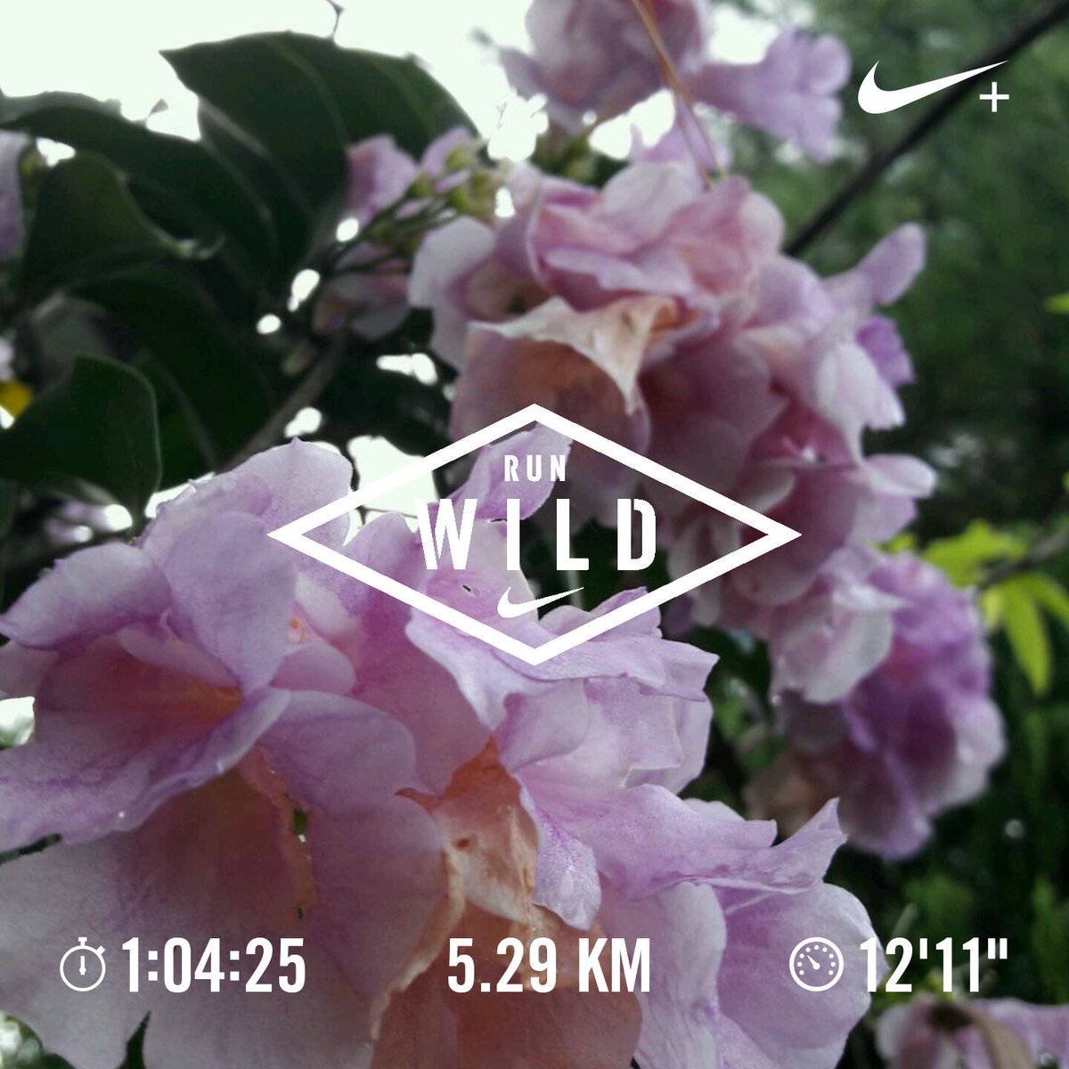 Ran 5.29 km with Nike⁠+ Run Club