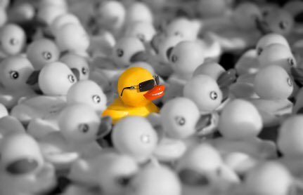 fallawayh's tweet photo. josh in the grammys crowd https://t.co/zSt4Y2jrjn