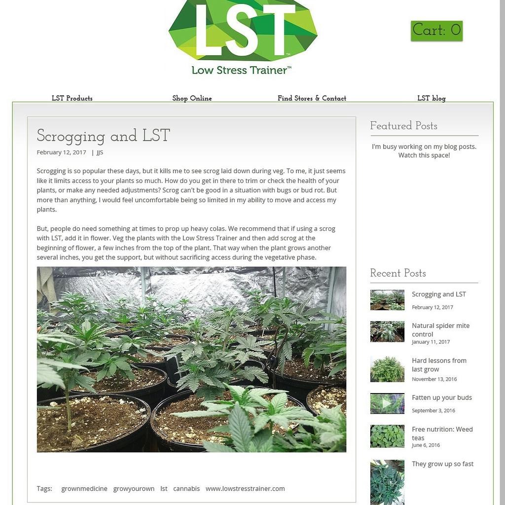 lst_products's tweet photo. READ our latest blog post https://t.co/0fR0r2hyru #LST #LowStressTrainer #Kits #Products #Cannabis #Marijuana #G420G #Grow420Guide #LSTtops https://t.co/l2E1hxxM5F