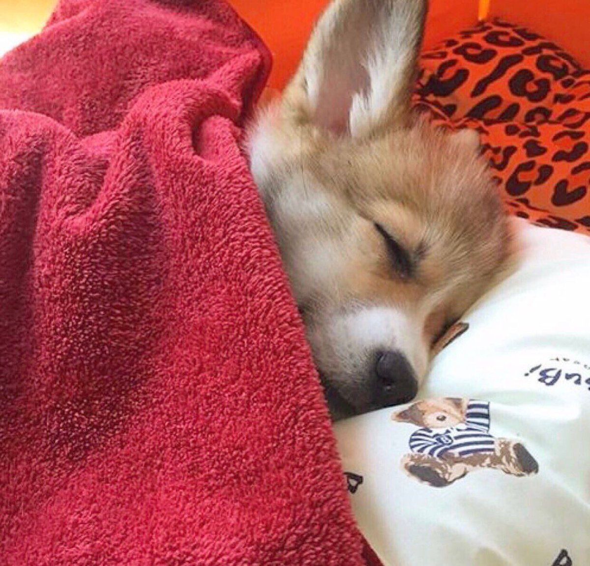 how i sleep knowing i've disappointed everyone in my life